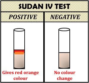 sudan iv test for lipids results